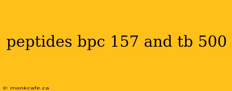 peptides bpc 157 and tb 500