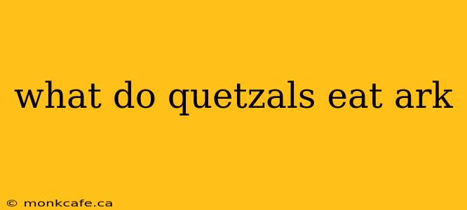 what do quetzals eat ark